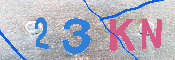 キャプチャ画像