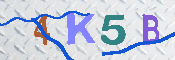 キャプチャ画像