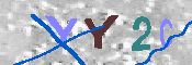 キャプチャ画像