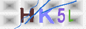 キャプチャ画像