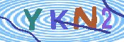 キャプチャ画像