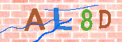 キャプチャ画像