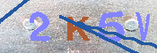 キャプチャ画像