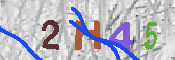 キャプチャ画像