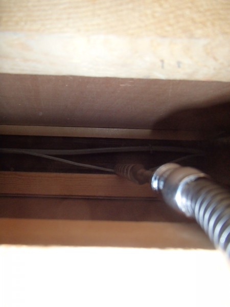 OLYMPUS DIGITAL CAMERA