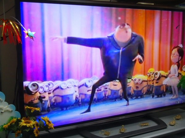 OLYMPUS DIGITAL CAMERA