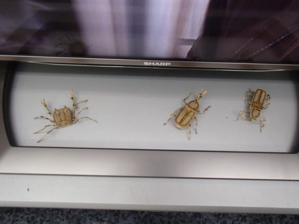 OLYMPUS DIGITAL CAMERA