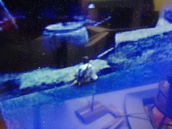 OLYMPUS DIGITAL CAMERA