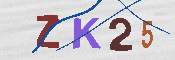 キャプチャ画像