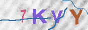 キャプチャ画像