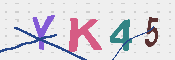 キャプチャ画像