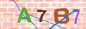 キャプチャ画像