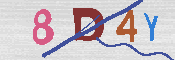 キャプチャ画像