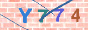 キャプチャ画像