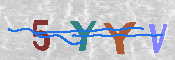 キャプチャ画像