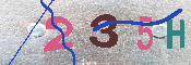 キャプチャ画像