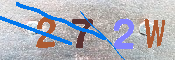 キャプチャ画像