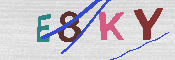 キャプチャ画像