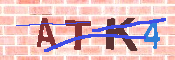 キャプチャ画像