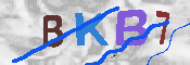 キャプチャ画像