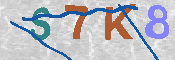 キャプチャ画像