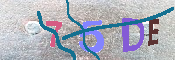 キャプチャ画像