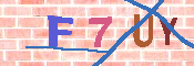 キャプチャ画像