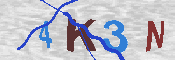 キャプチャ画像