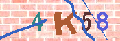 キャプチャ画像