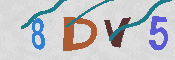 キャプチャ画像