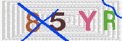 キャプチャ画像