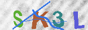 キャプチャ画像