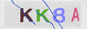 キャプチャ画像