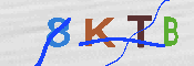 キャプチャ画像