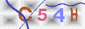 キャプチャ画像