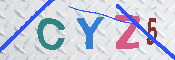 キャプチャ画像