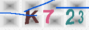 キャプチャ画像