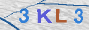 キャプチャ画像