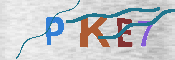 キャプチャ画像