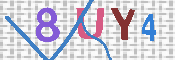 キャプチャ画像