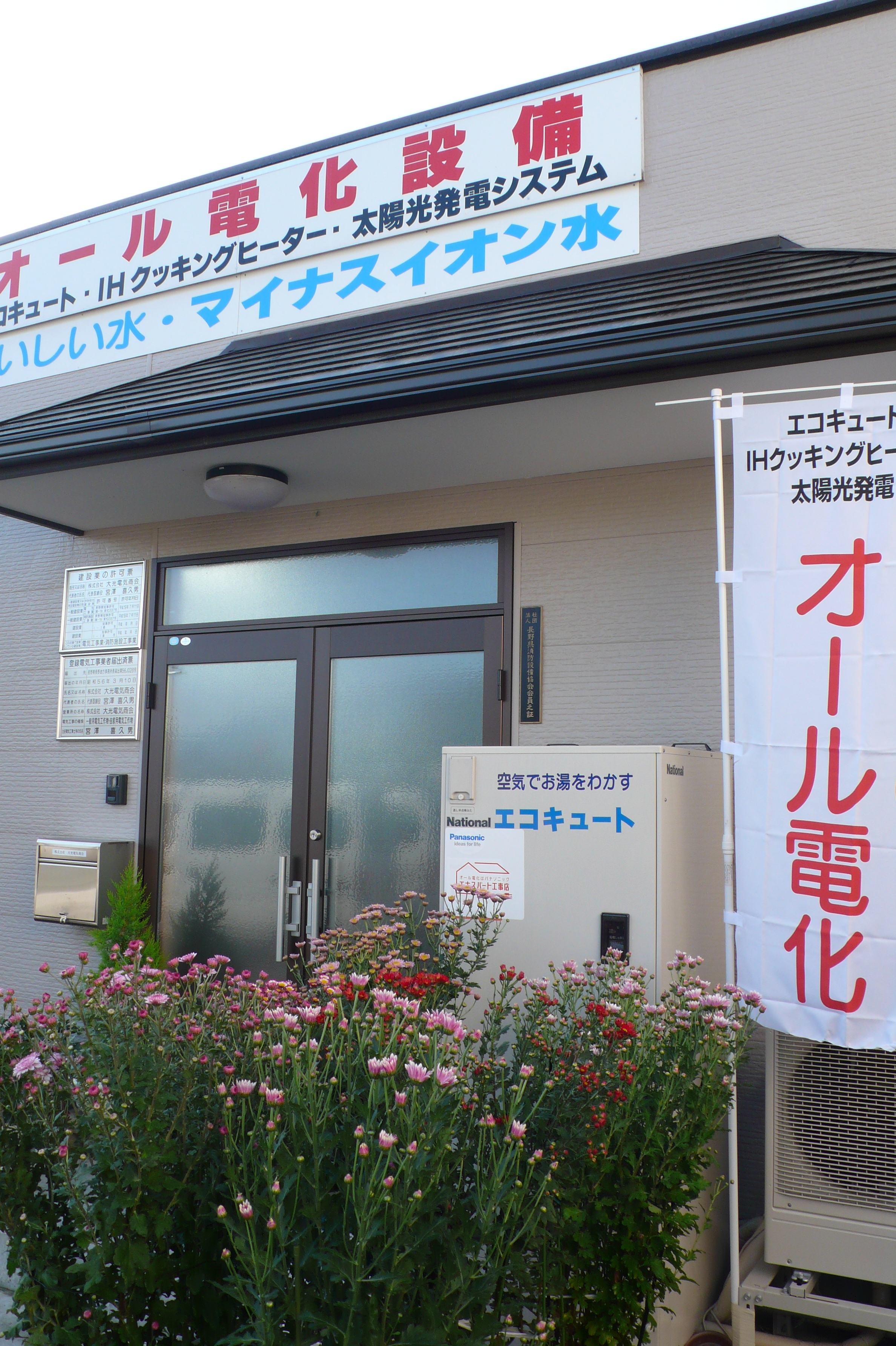 会社の玄関は今は菊の花盛りです。