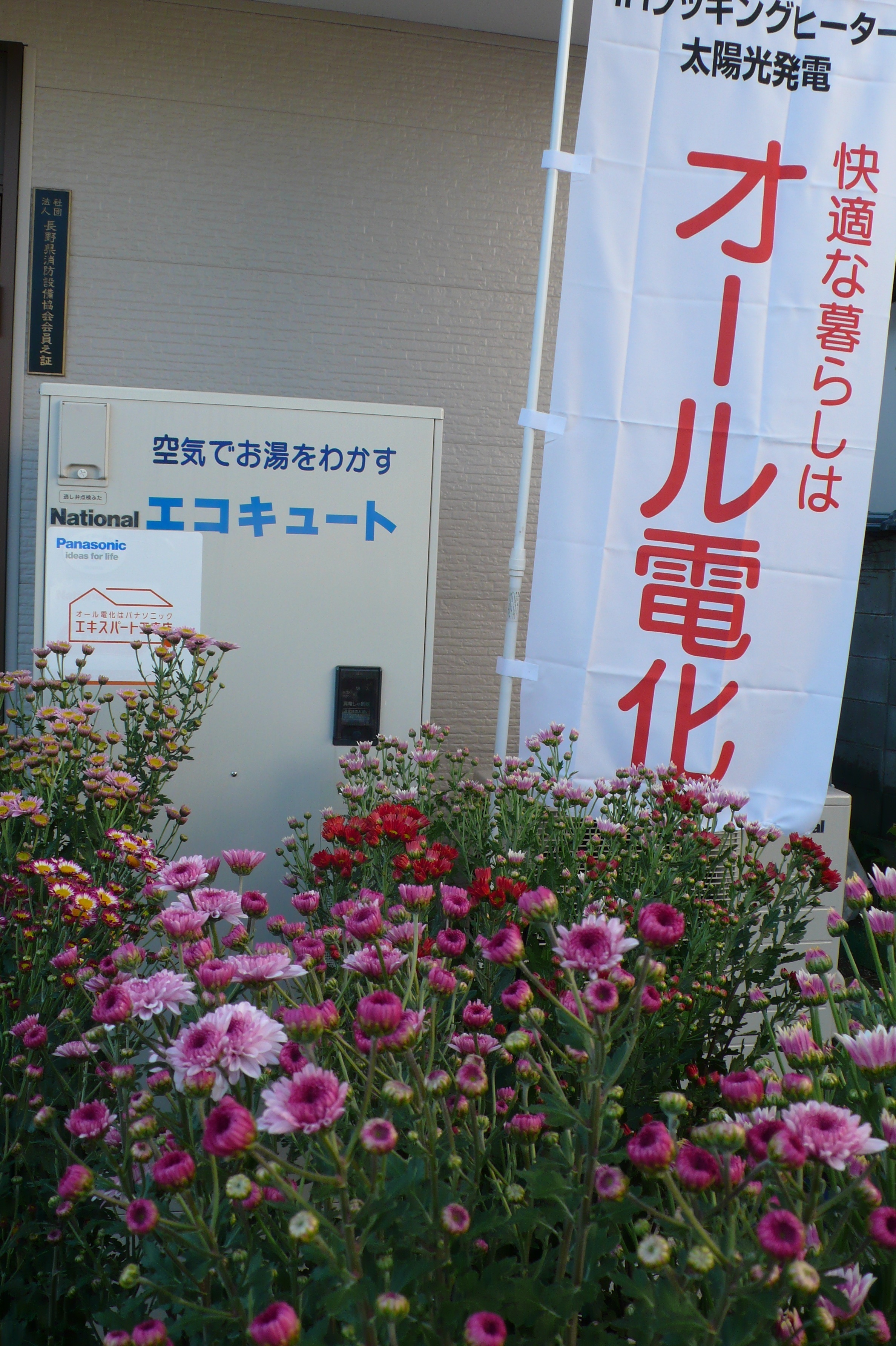 エコキュートの前も花盛りです。