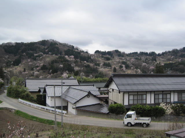 今日の景色はとってもいいですよ！