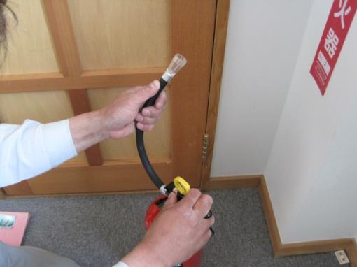 小川のせせらぎにはリュウキンカが咲いていました