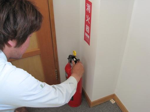 牡丹の花は大きくて見ごたえがあります