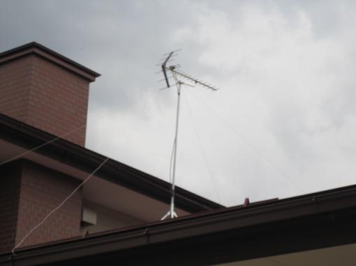 菜の花がきれいに咲いていました。