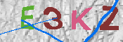 キャプチャ画像