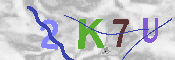 キャプチャ画像