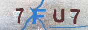 キャプチャ画像