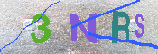キャプチャ画像